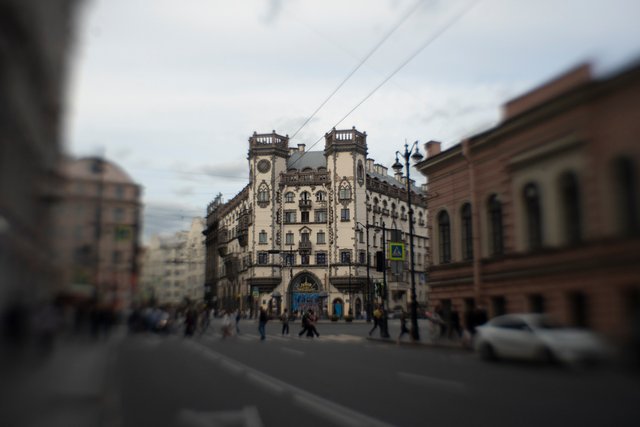 DSC09294.jpg