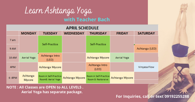 Learn Ashtanga Yoga with Teacher Bach (9).png
