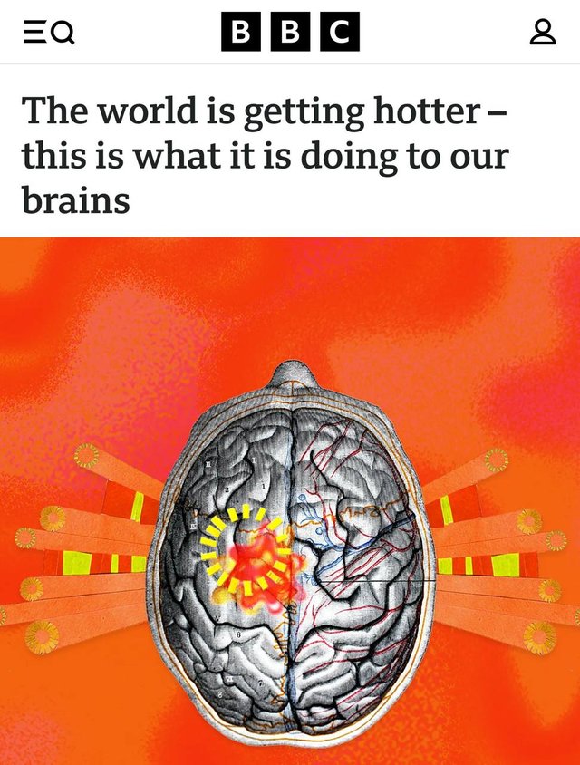 media.jpg