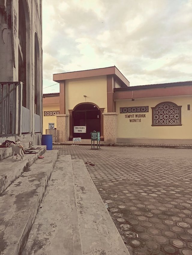 f93e3fd74dc85d38218d02a06d375218_0.jpeg