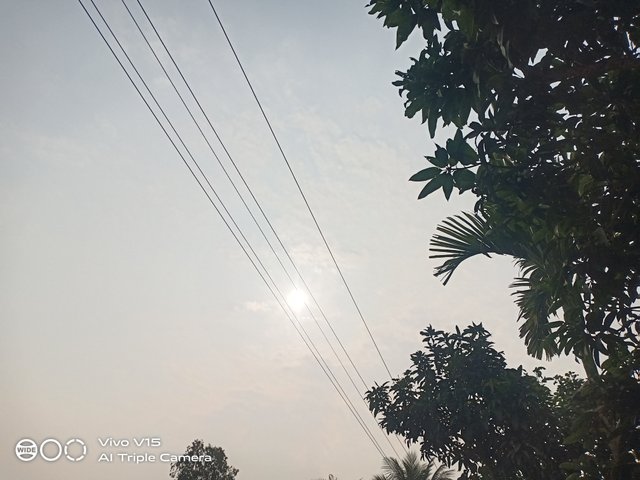 IMG_20240118_101436.jpg