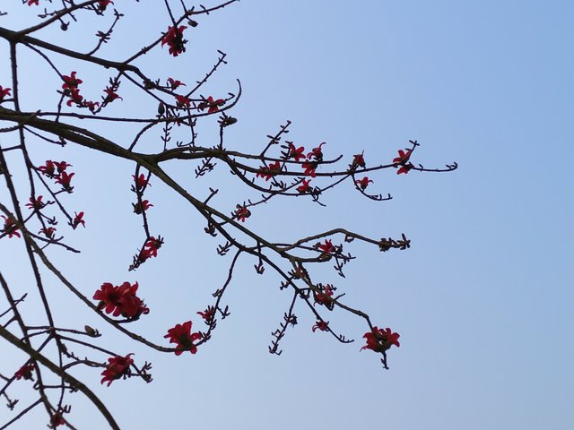 20230228_084519.jpg