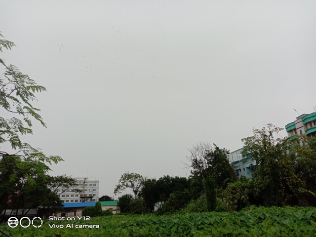 IMG_20250715_155713.jpg