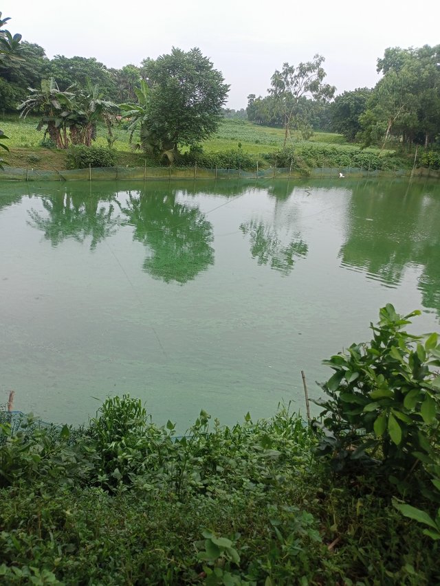 IMG20250710164816.jpg