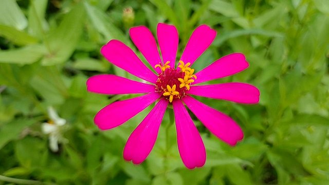 IMG_20250930_164045.jpg