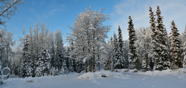 pano102 driveway cropped uploaded.jpg