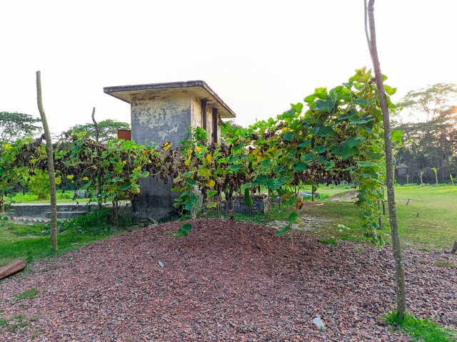 RIYAN_20250401_172720960.jpg