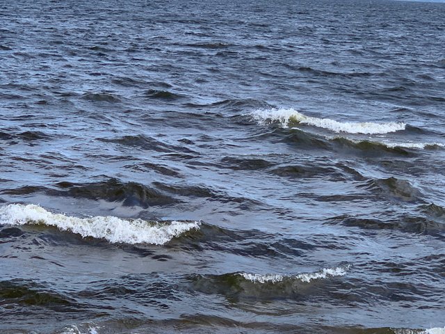 IMG_7587.jpeg