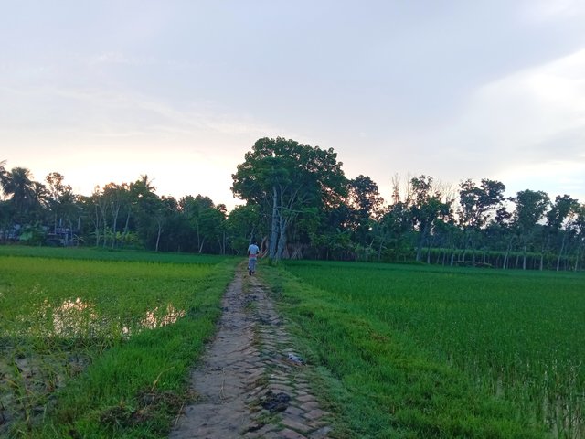 IMG_20250815_091052.jpg