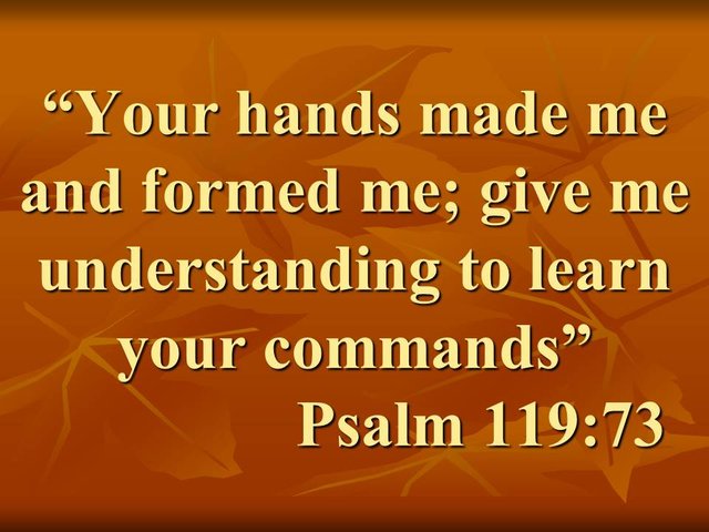 Law and Wisdom in the Bible. Your hands made me and formed me; give me understanding to learn your commands. Psalm 119,73.jpg