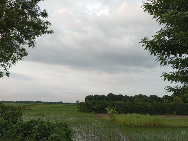 IMG_20250816_182500_468.jpg