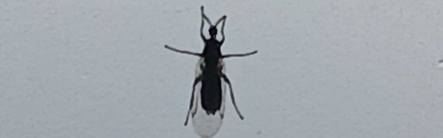 20250711_143202.jpg
