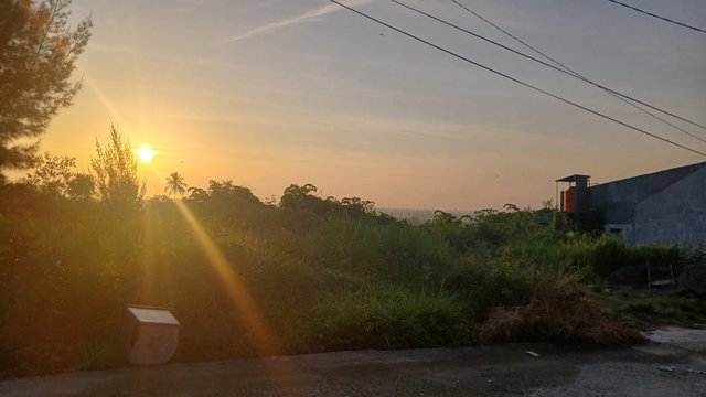 1000609339.jpg