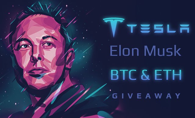 elonbtc.png