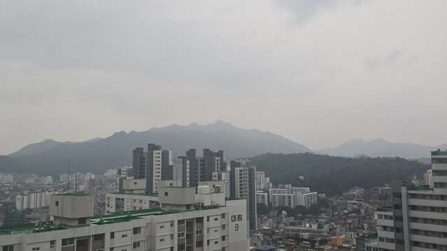 1000141252.jpg