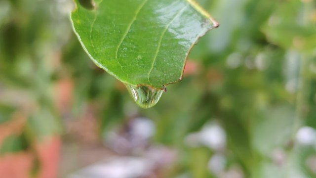 IMG_20250906_172803.jpg