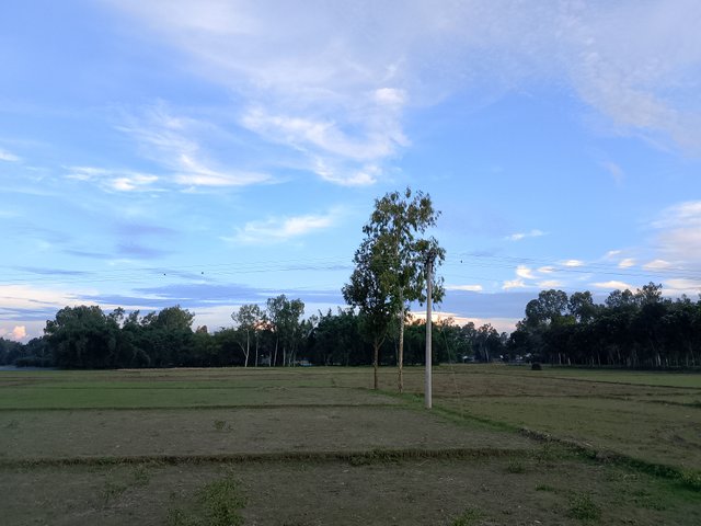 1000043266.jpg