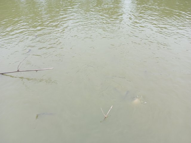 IMG_20250812_071707_486.jpg