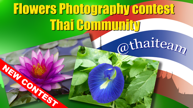 flower Photography contest 3.png