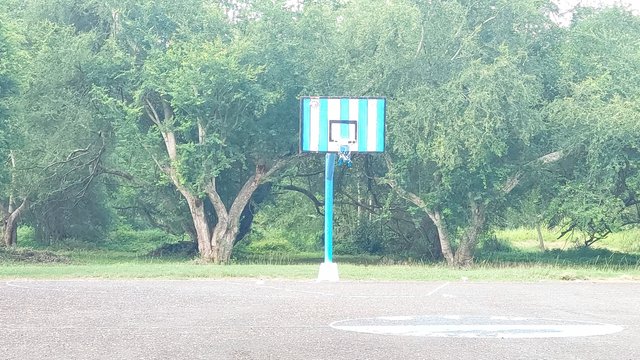 20250620_101806.jpg