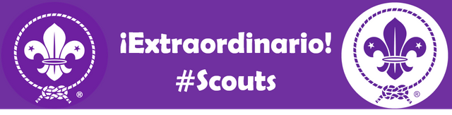 Scouts Extraordinario.png