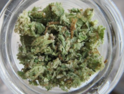 bowlpackedclose420w.jpg