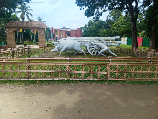 1000038425.jpg