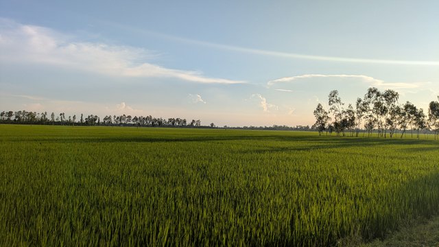 626.jpg