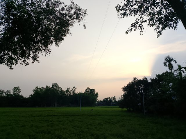 1000040544.jpg