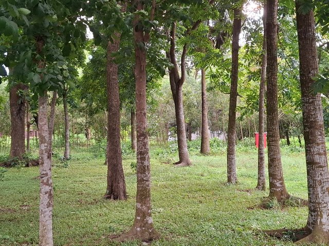 1000031959.jpg