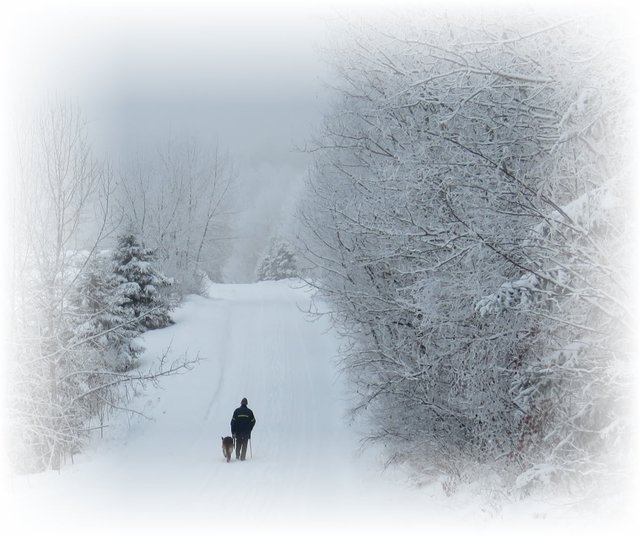 Frosty scene of Don walking Bruno home from hill.JPG