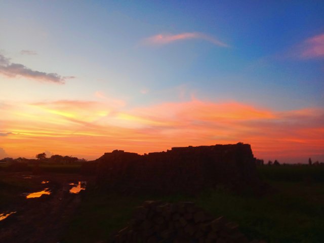 IMG_20251010_190108.jpg