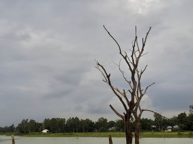 1000071141.jpg