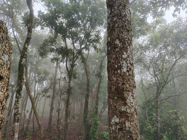 Chaiyaphum61.jpg