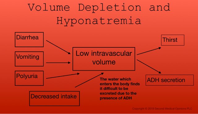 Picture Steemit Volume Depletion Hyponatremia.jpg