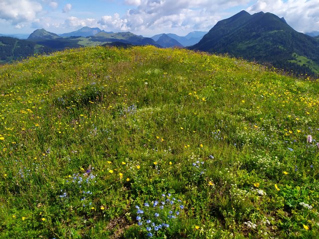 Landschaft5.jpg