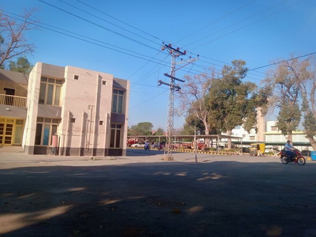 IMG20240325081339.jpg