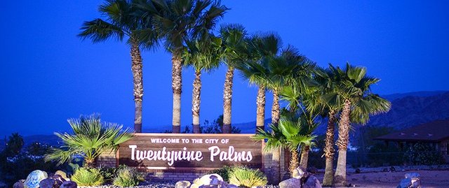 PALM.jpg