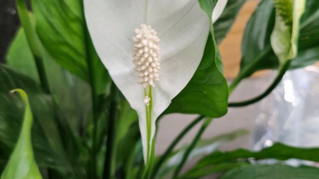 20250728_195255.jpg