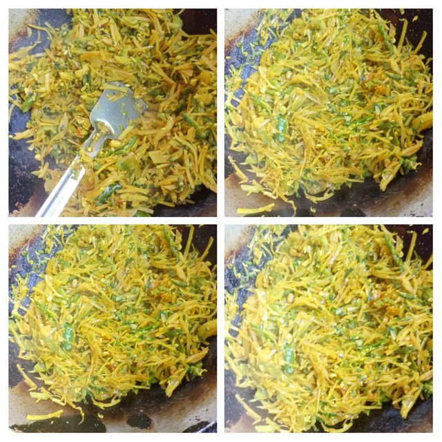 IMG_20250322_092309-COLLAGE.jpg