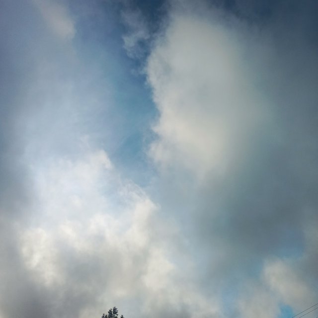 IMG_20250509_092922_483.jpg