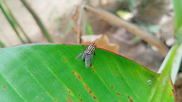 IMG20250531101139.jpg