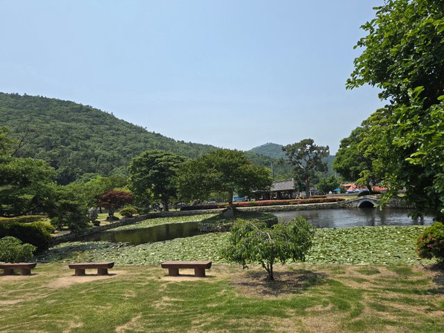20250529_114137.jpg