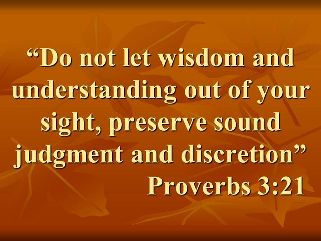 Spiritual seeker. Do not let wisdom and understanding out of your sight, preserve sound judgment and discretion.jpg