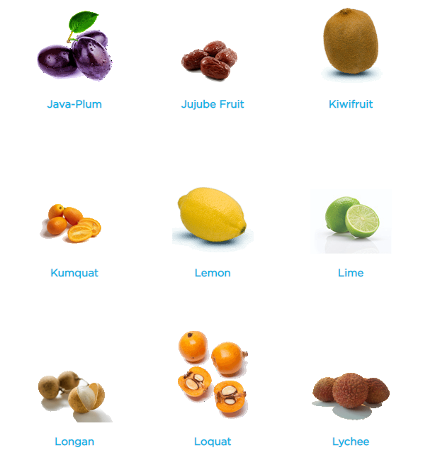 fruits a-z4.png
