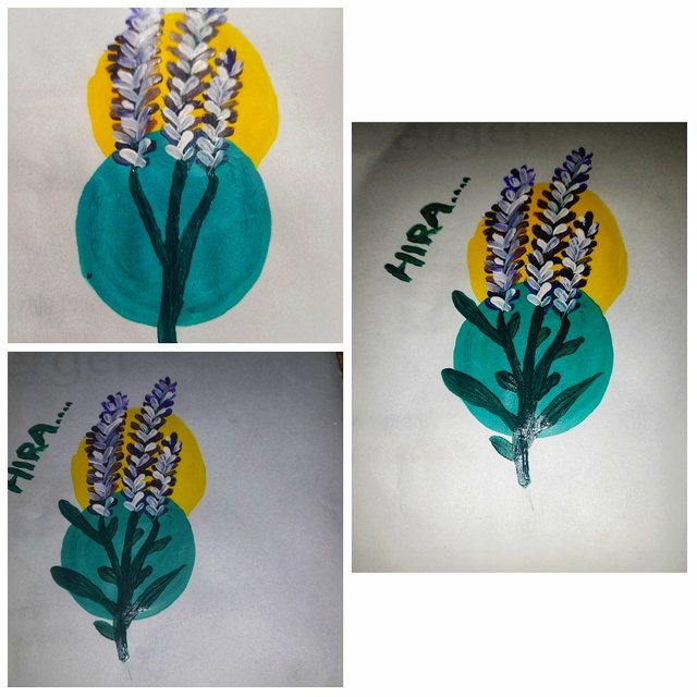 PhotoCollage_1681834738098-01.jpeg