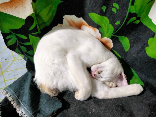 IMG20250720113858.jpg