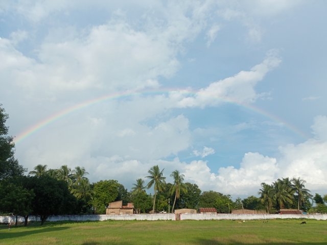 IMG20250815173532.jpg