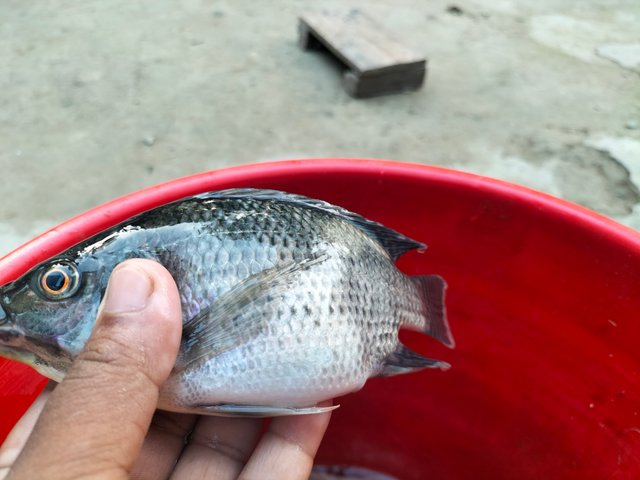 IMG20250929170417.jpg