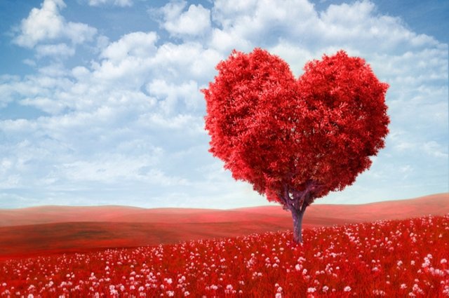 arbol-corazon-amor.jpg